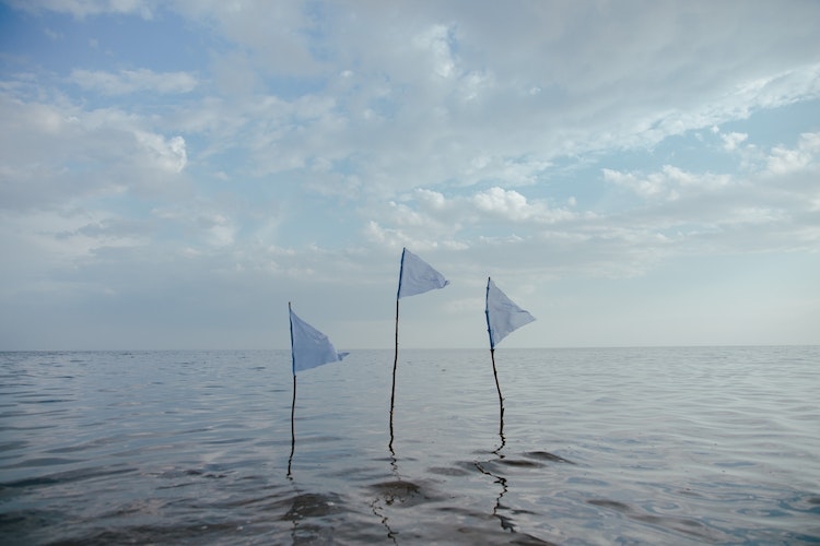 Three adjacent white triangular 'surrender' flags planted in shallow water by shore of large lake